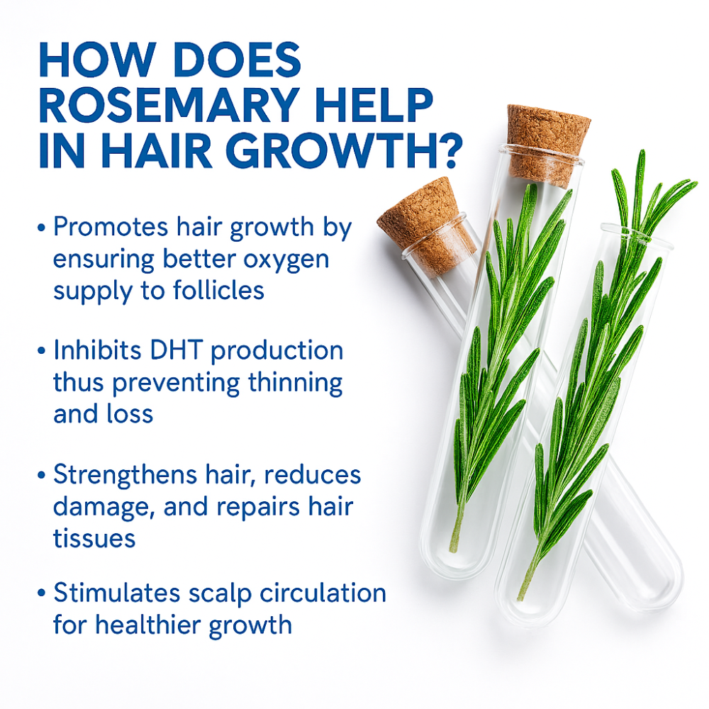 Eloura Hair Growth Serum Roll