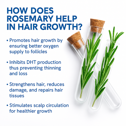 Eloura Hair Growth Serum Roll